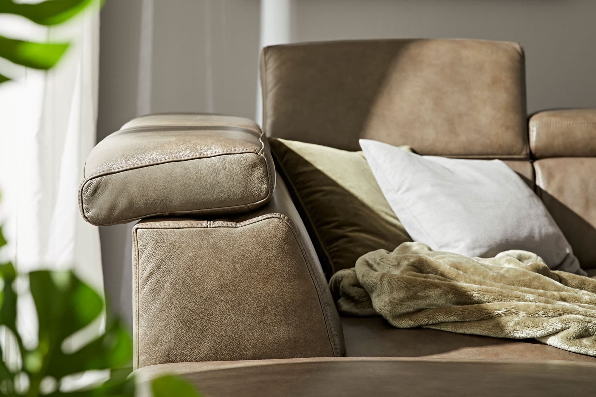 Bequeme Couch mit Kissen und einer Decke, sanft beleuchtet von Tageslicht, umgeben von einer Pflanze.