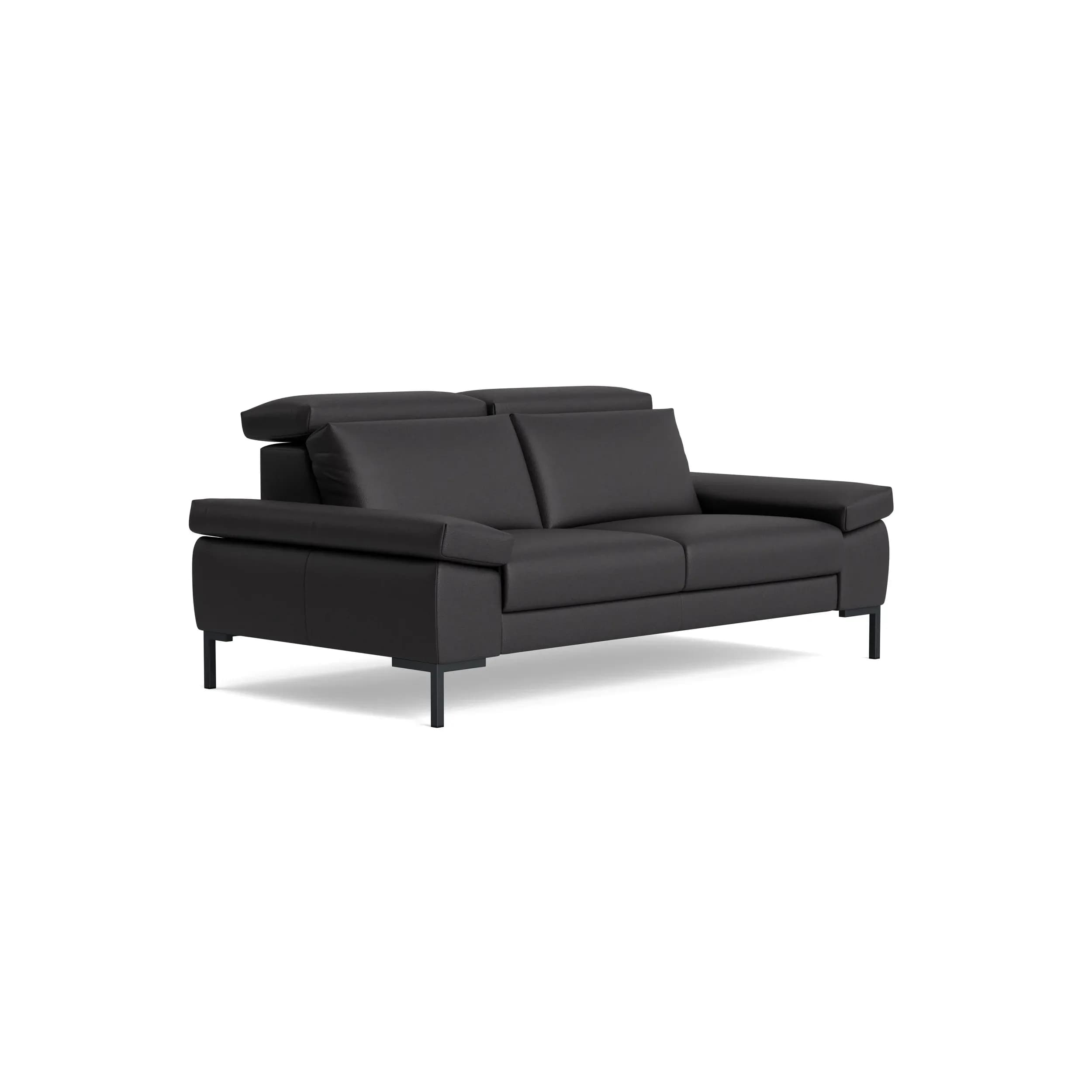 Sofa Braska - 2,5-Sitzer, inkl. Kopfstütze verstellbar, Leder, Anthrazit