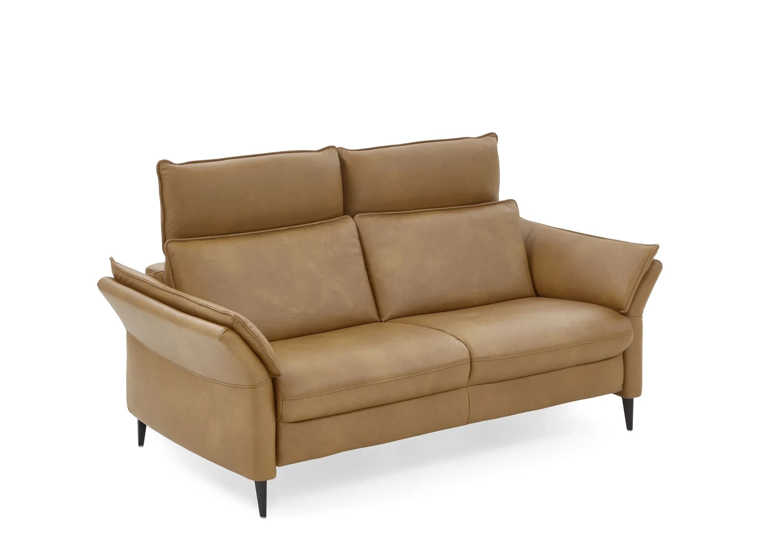 Sofa - 2,5-Sitzer, Kopfteil verstellbar, Leder, Braun