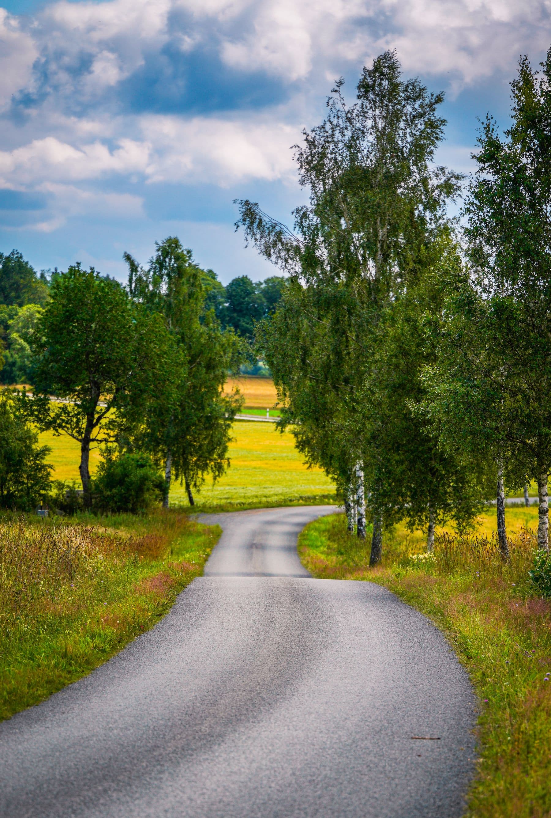 Kurvige Landstraße zwischen grünen Feldern und Birken – idyllische Route über Land nach Rheinberg
