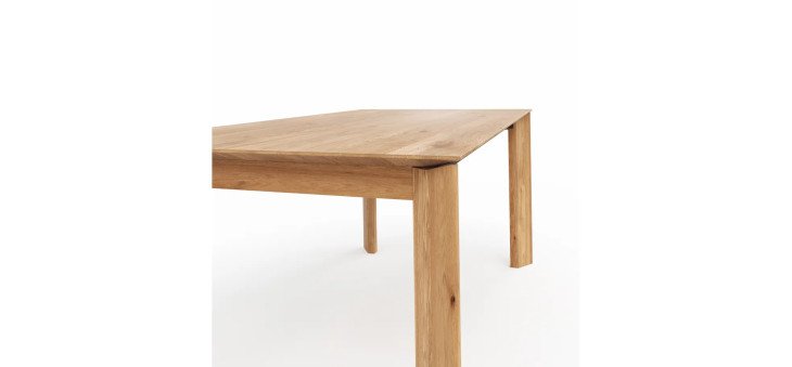 425035736a43646dd05bcbe9415da2fe0752b11c na Esstische Saratoga detailbild 2 1449496