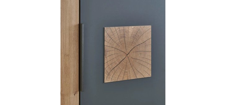 1c575dcdb7e6ee00f440e7116f1fd195637ce608 SZ Naxos LS25 Centra Detailbild