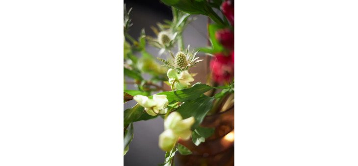 1d2cc6d4d9d8f3580e1ec8f1f683aa7322a7a3f8 CO K01 1 Lineo Matera Mood5