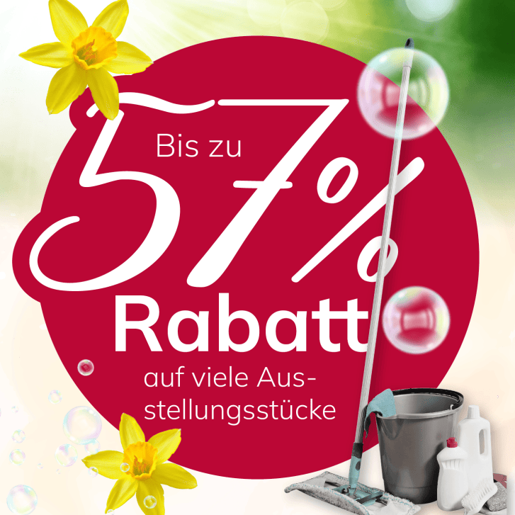 Wohnfuchs Fruehjahrsputz LP 26 01 12